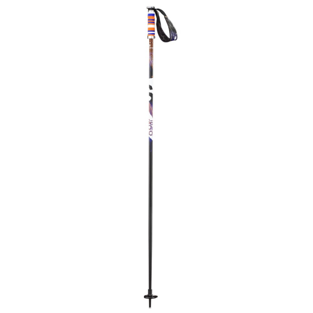 Salomon Brigade Ski Poles 2013, , medium