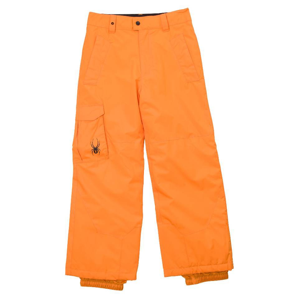 Spyder Fleet Kids Ski Pants, Squeeze, swatch