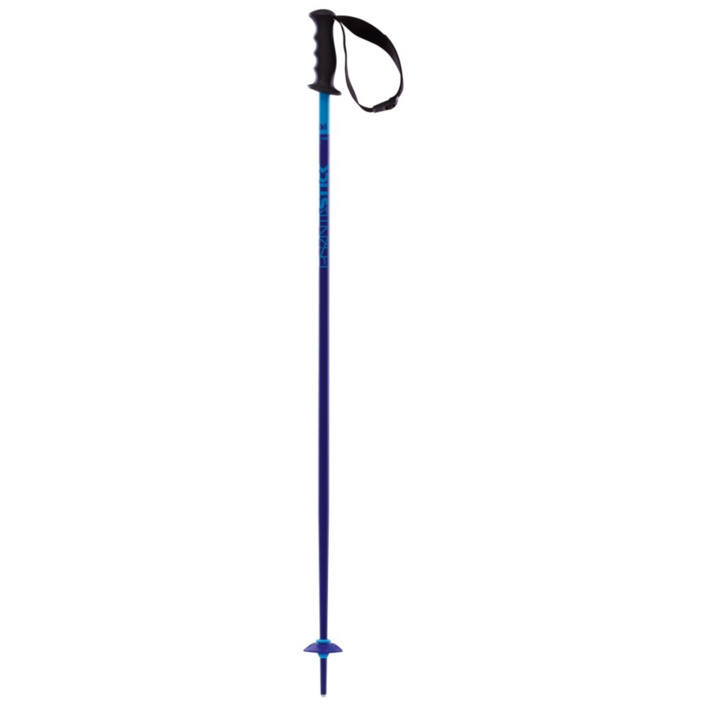 Volkl Phantastick Kids Ski Poles 2014, Blue, swatch