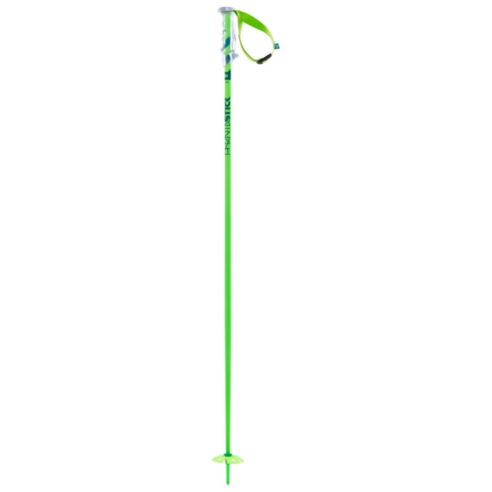 Volkl Phantastick 2 Ski Poles 2014, Green, swatch