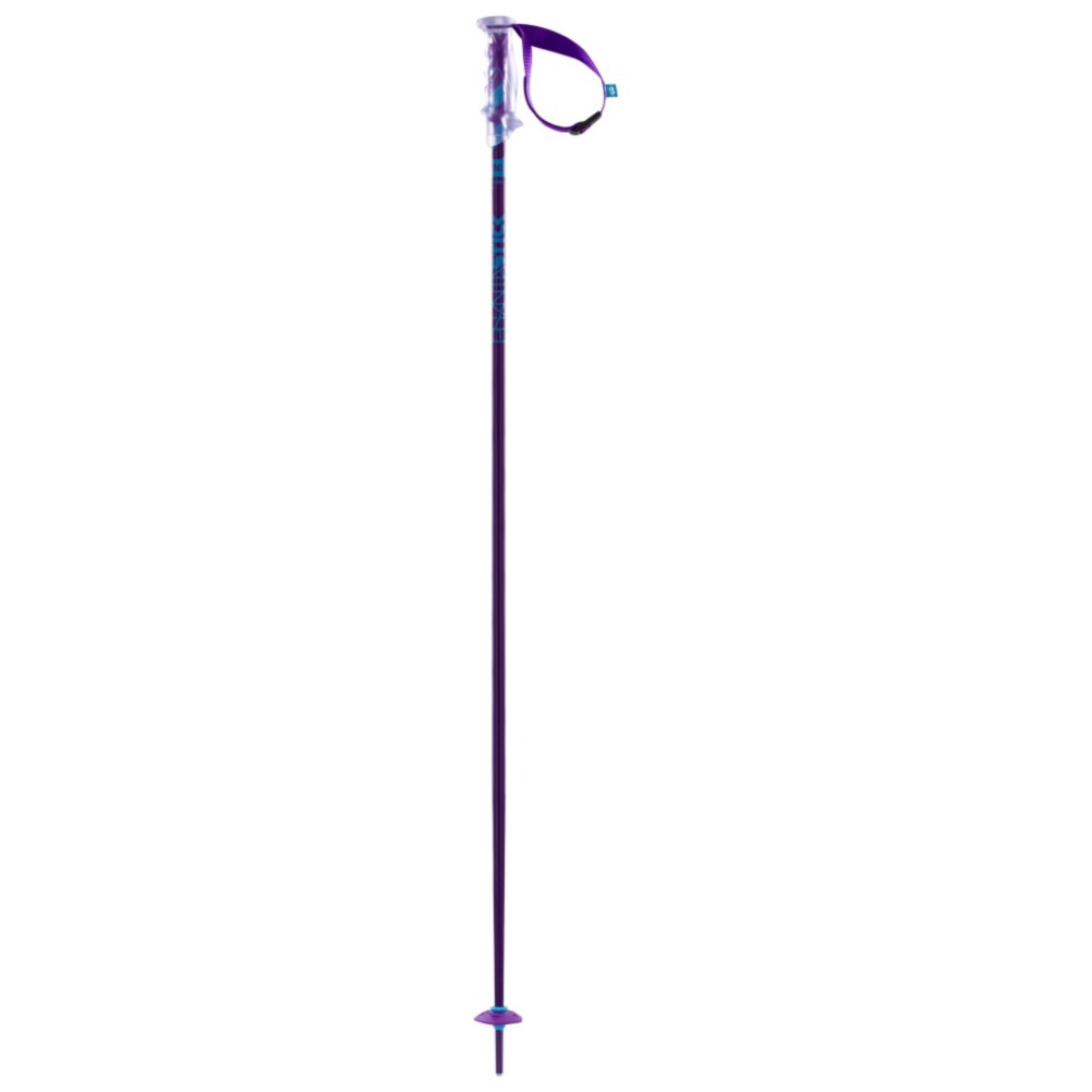 Volkl Phantastick 2 Ski Poles 2014, Purple, swatch