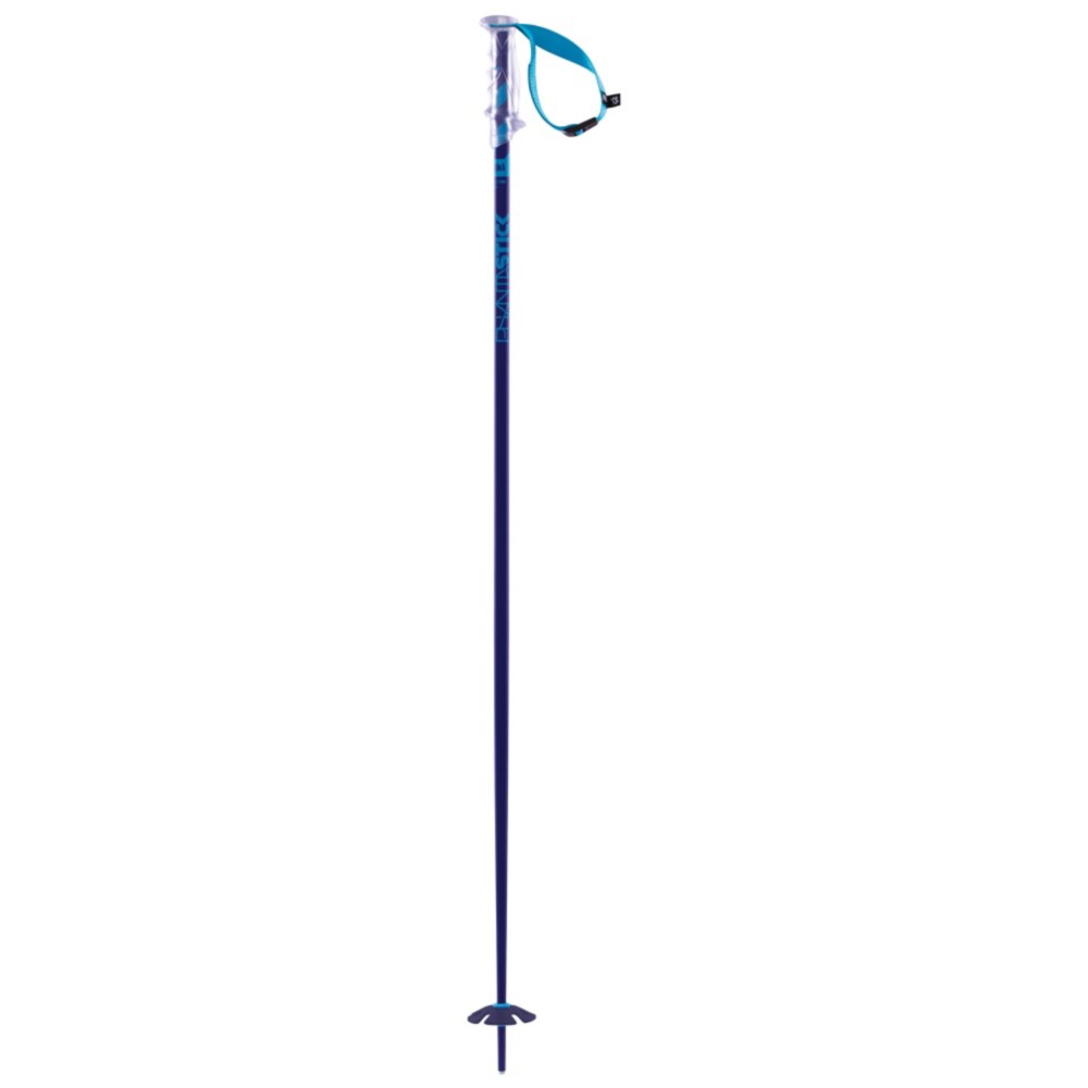Volkl Phantastick 2 Ski Poles 2014, Blue, swatch