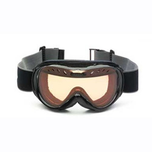 Smith Goggles
