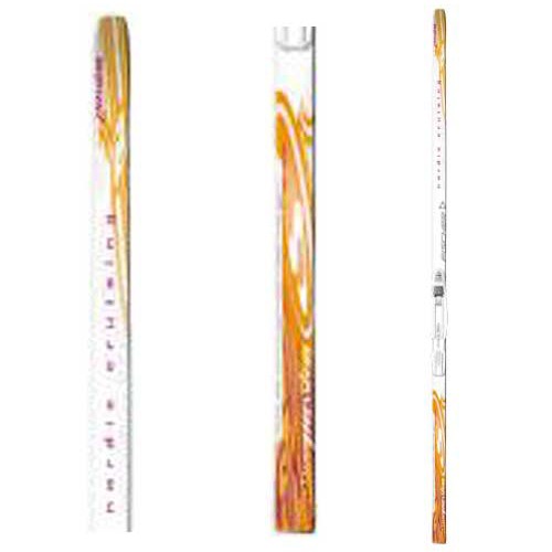 Fischer Vision Passion Cross Country Skis