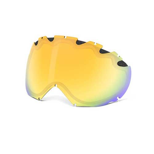 Oakley Ski Goggles