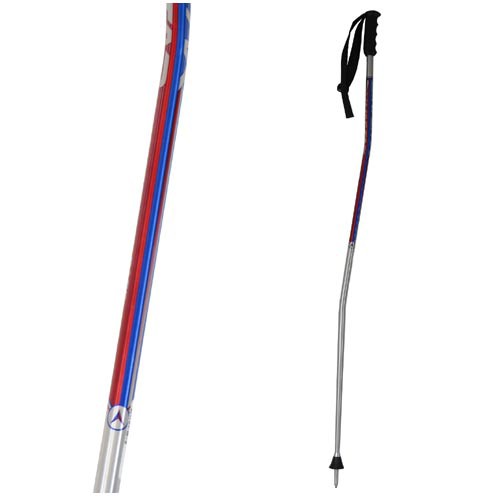 Dynastar Race G/SG Ski Poles - Senior