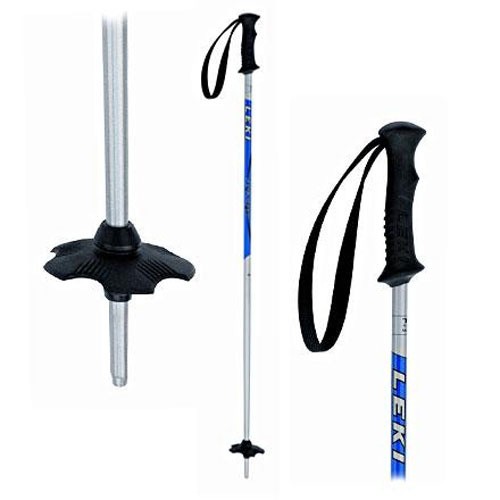  Alpine Ski Poles