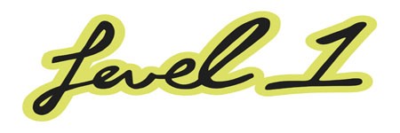 LEVEL 1
