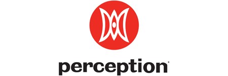 Perception 