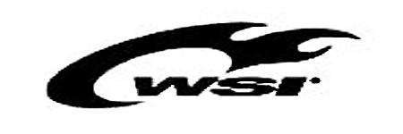 WSI 