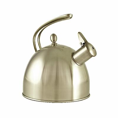 Teavana Perfect Tea Kettle