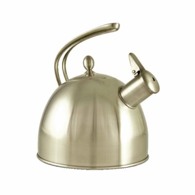 Teavana Perfect Tea Kettle image