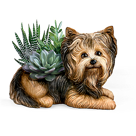 Yorkie Planter With Always In Bloom Succulents