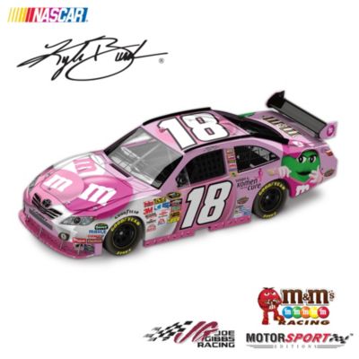 Breast Cancer Support Kyle Busch #18 M&M'S Brand Susan G. Komen Diecast Car
