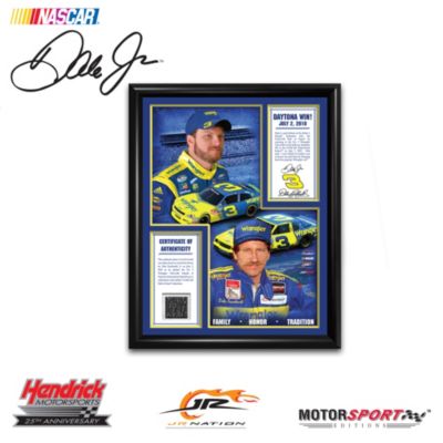Salute To Dale #3 Framed Print Wall Decor With A Piece Of Racing History