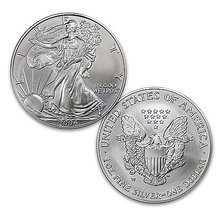 The First Burnished Finish American 99.9% Silver Eagle Coin