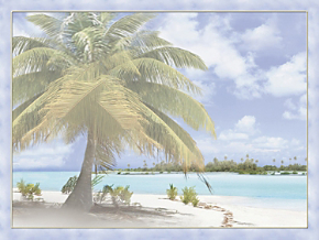 Tropical Paradise Note Cards