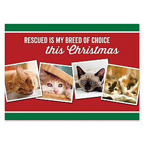 Rescued is Something To Purr About Personalized Cards