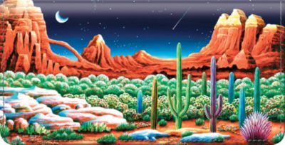 Desert Nights Checkbook Cover