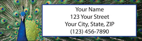 Pretty Peacocks Return Address Label