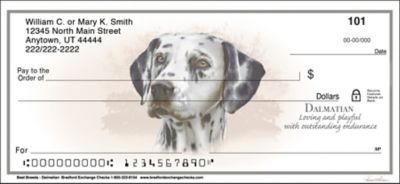 Dalmatian Best Breeds Checks