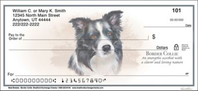 Border Collie Best Breeds Personal Checks