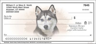 Siberian Husky Best Breeds Personal Checks