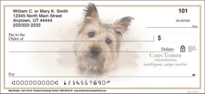 Cairn Terrier Best Breeds Checks