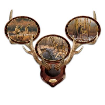 Greg Alexanders Natures Majesty Plate Collection