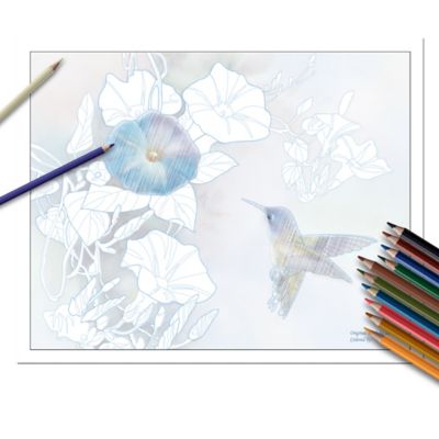 Buy Lena Liu Artistic Escapes Adult Coloring Kit Collection With Palette Pencil Set