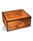MERGER HIGH LACQUER BURL 30 COUNT HUMIDOR