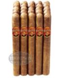 BAGATELLE ROBUSTO SUMATRA