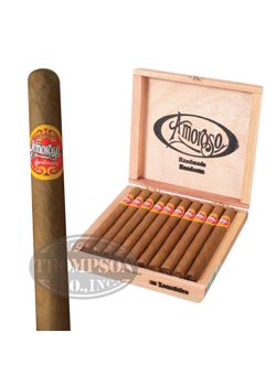 AMOROSO LONSDALE CONNECTICUT