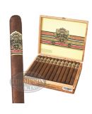 ASHTON VSG ILLUSION SUN GROWN LONSDALE