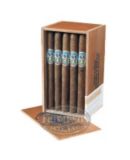 ST GEORGE CORONA SUMATRA