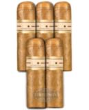NUB BY OLIVA CONNECTICUT ROTHSCHILD CONNECTICUT