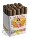 FLOR DE FILIPINAS CORONA JAVA