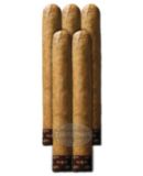 ROCKY PATEL EDGE LITE TORO CONNECTICUT CIGAR