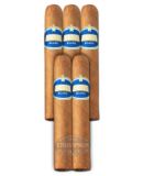 CUVEE BLANC ROBUSTO CONNECTICUT
