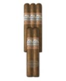 PERDOMO LOT 23 TORO CONNECTICUT