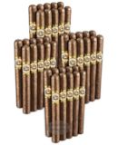 DON OSVALDO 2-FER SUMATRA CHURCHILL