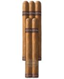 PERDOMO PATRIARCH ROBUSTO COROJO