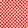 POPPY RED DENLEY (C)