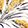 IVORY WHEAT (A)