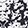 TORY NAVY ABBOTT A/ TORY NAVY DENLEY A