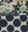 TORY NAVY MIX PRINT (AYDEN B/STAMPED A)