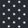 TORY NAVY PIN DOT (A)