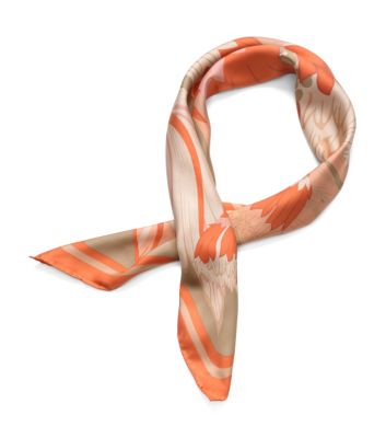 Amy Scarf