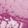 PARTY FUSCHIA