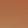 Soft Tortoise/Brown